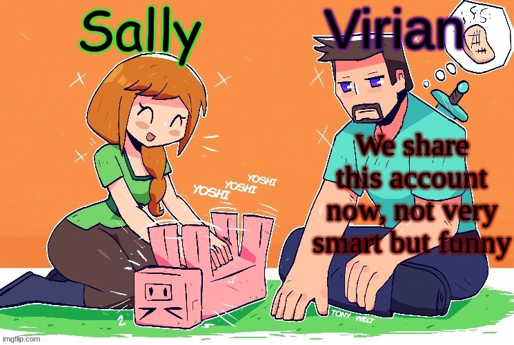 Virian and Sally shared temp | We share this account now, not very smart but funny | image tagged in virian and sally shared temp | made w/ Imgflip meme maker