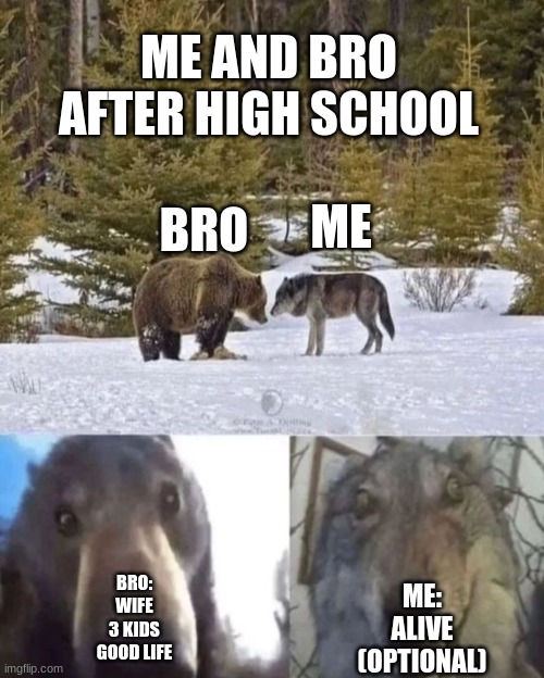 facts | ME AND BRO AFTER HIGH SCHOOL; ME; BRO; BRO:
WIFE
3 KIDS
GOOD LIFE; ME:
ALIVE
(OPTIONAL) | image tagged in bear and wolf staring at eachother | made w/ Imgflip meme maker