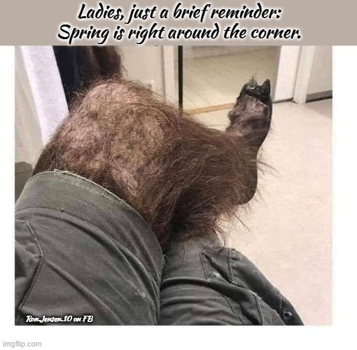 Remember | Ladies, just a brief reminder: Spring is right around the corner. Ron.Jensen.10 on FB | image tagged in sexy legs,hairy legs,sexy women,women,beauty and the beast | made w/ Imgflip meme maker