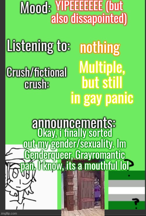 i use any pronouns, but usually prefer they/them she/her | YIPEEEEEEE (but also dissapointed); nothing; Multiple, but still in gay panic; Okay, i finally sorted out my gender/sexuality. Im Genderqueer, Grayromantic pan. I know, its a mouthful lol | image tagged in xvoid's new announcement temp,pronouns,lgbtq | made w/ Imgflip meme maker