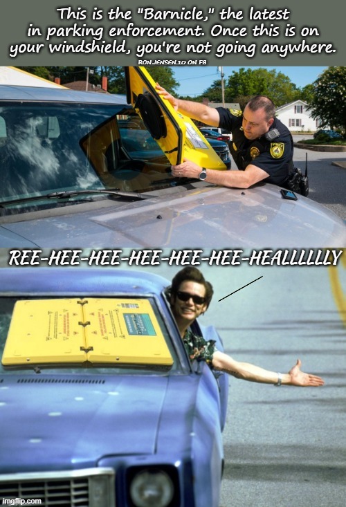 No Parking | REE-HEE-HEE-HEE-HEE-HEE-HEALLLLLLY | image tagged in ace ventura,bad parking,parking,police,police officer | made w/ Imgflip meme maker