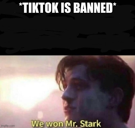 We won Mr. Stark | *TIKTOK IS BANNED* | image tagged in we won mr stark | made w/ Imgflip meme maker