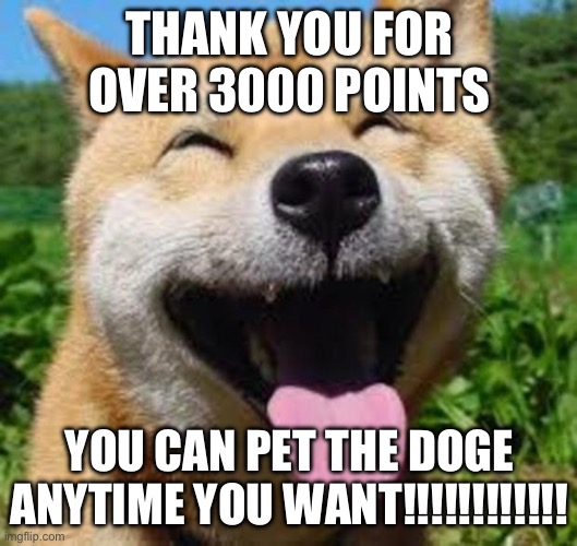 Thank you | THANK YOU FOR OVER 3000 POINTS; YOU CAN PET THE DOGE ANYTIME YOU WANT!!!!!!!!!!!! | image tagged in happy doge | made w/ Imgflip meme maker