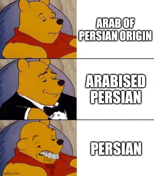 The process of persianisation | ARAB OF PERSIAN ORIGIN; ARABISED PERSIAN; PERSIAN | image tagged in best better blurst,iran,iranian,persian,arab,origin | made w/ Imgflip meme maker