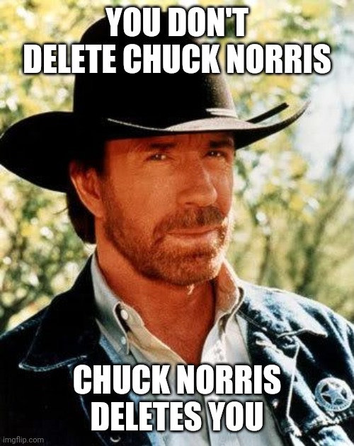 Chuck Norris Meme | YOU DON'T DELETE CHUCK NORRIS CHUCK NORRIS DELETES YOU | image tagged in memes,chuck norris | made w/ Imgflip meme maker