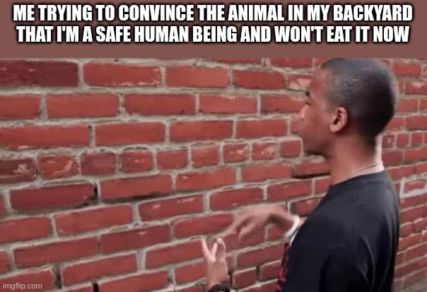 gain its trust, then eat | ME TRYING TO CONVINCE THE ANIMAL IN MY BACKYARD THAT I'M A SAFE HUMAN BEING AND WON'T EAT IT NOW | image tagged in man talking to brick wall,convince | made w/ Imgflip meme maker