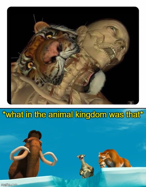 image tagged in what in the animal kingdom was that,tiger,apex,predator,animal attack,tigers | made w/ Imgflip meme maker