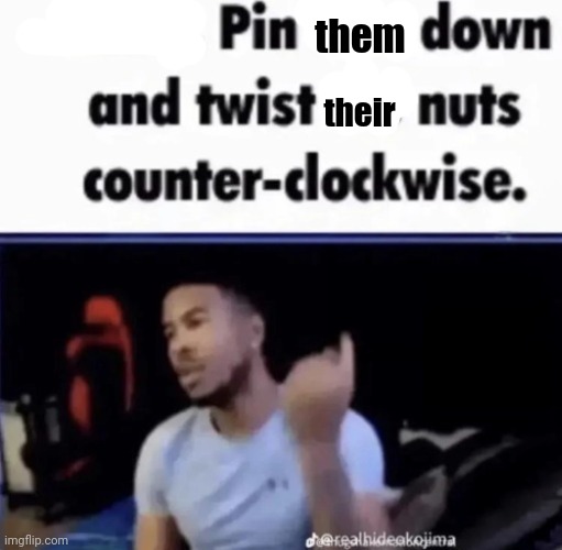 Mods. Pin him down and twist his nuts counter-clockwise. | them their | image tagged in mods pin him down and twist his nuts counter-clockwise | made w/ Imgflip meme maker