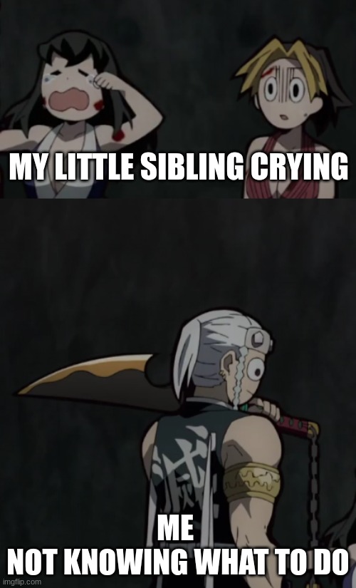 Idk what to do | MY LITTLE SIBLING CRYING; ME 
NOT KNOWING WHAT TO DO | image tagged in idk what to do | made w/ Imgflip meme maker