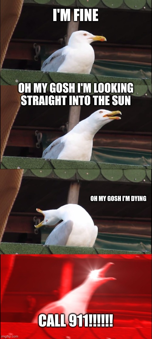 Inhaling Seagull | I'M FINE; OH MY GOSH I'M LOOKING STRAIGHT INTO THE SUN; OH MY GOSH I'M DYING; CALL 911!!!!!! | image tagged in memes,inhaling seagull | made w/ Imgflip meme maker