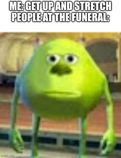 Sully Wazowski | ME: GET UP AND STRETCH
PEOPLE AT THE FUNERAL: | image tagged in sully wazowski | made w/ Imgflip meme maker