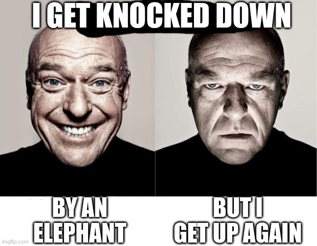 breaking bad smile frown | I GET KNOCKED DOWN; BY AN ELEPHANT; BUT I GET UP AGAIN | image tagged in breaking bad smile frown | made w/ Imgflip meme maker