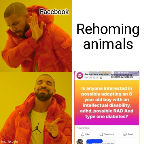 Drake Hotline Bling | Facebook; Rehoming animals | image tagged in memes,drake hotline bling,adoption,facebook | made w/ Imgflip meme maker