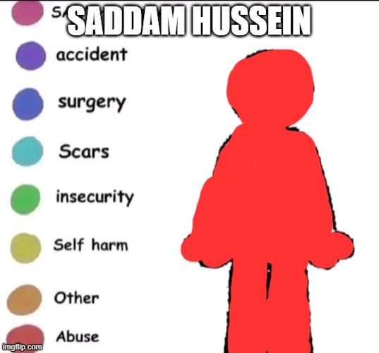 share your story | SADDAM HUSSEIN | image tagged in share your story | made w/ Imgflip meme maker