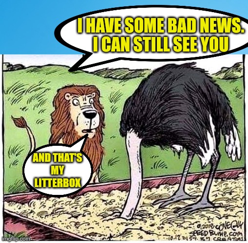 I HAVE SOME BAD NEWS.
I CAN STILL SEE YOU; AND THAT'S
MY
LITTERBOX | image tagged in blue background 42,lion with bad news | made w/ Imgflip meme maker
