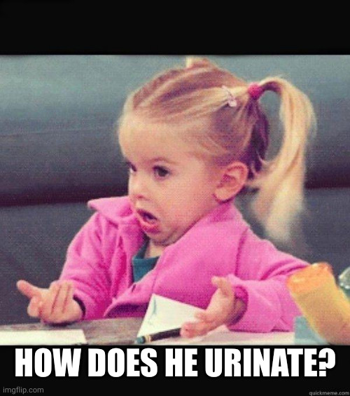 I dont know girl | HOW DOES HE URINATE? | image tagged in i dont know girl | made w/ Imgflip meme maker