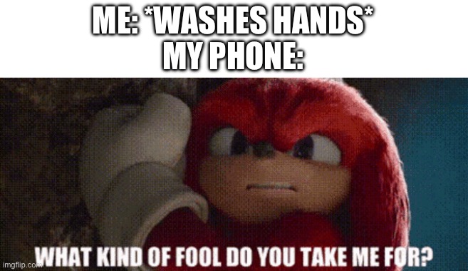 fingerprint scanners be like | ME: *WASHES HANDS*
MY PHONE: | image tagged in sonic movie what kind of fool do you take me for,memes,funny,relatable,phone,sonic | made w/ Imgflip meme maker