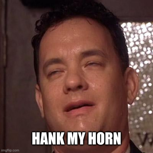 Tom Hanks Orgasm | HANK MY HORN | image tagged in tom hanks orgasm | made w/ Imgflip meme maker