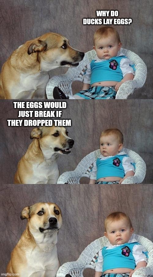 Dad Joke Dog | WHY DO DUCKS LAY EGGS? THE EGGS WOULD JUST BREAK IF THEY DROPPED THEM | image tagged in memes,dad joke dog | made w/ Imgflip meme maker
