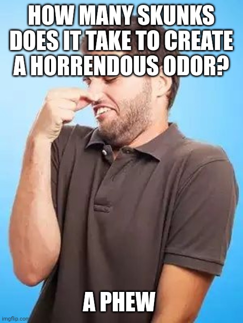 That's Stinky Man | HOW MANY SKUNKS DOES IT TAKE TO CREATE A HORRENDOUS ODOR? A PHEW | image tagged in that's stinky man | made w/ Imgflip meme maker