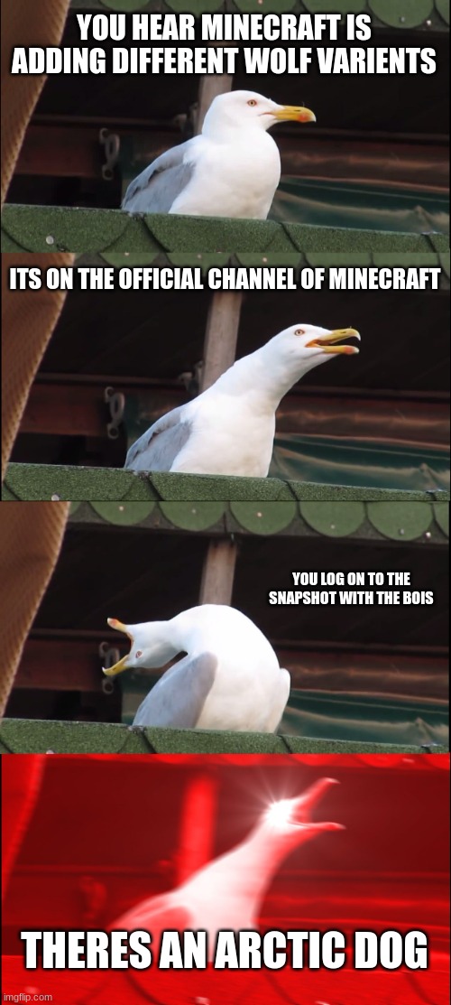 seagull dog | YOU HEAR MINECRAFT IS ADDING DIFFERENT WOLF VARIENTS; ITS ON THE OFFICIAL CHANNEL OF MINECRAFT; YOU LOG ON TO THE SNAPSHOT WITH THE BOIS; THERES AN ARCTIC DOG | image tagged in memes,inhaling seagull | made w/ Imgflip meme maker