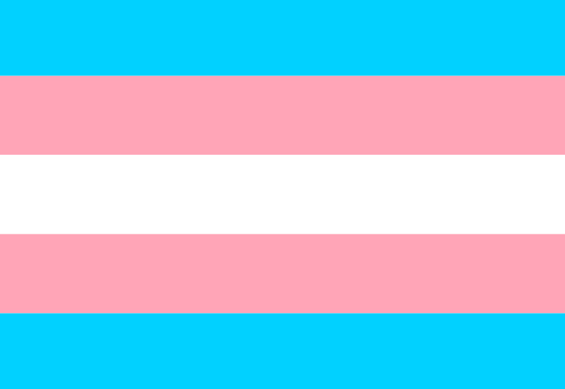 trans flag Blank Meme Template