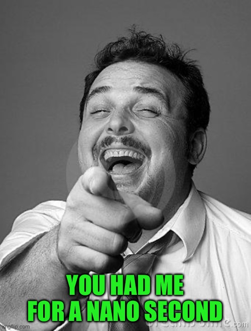 laughingguy | YOU HAD ME FOR A NANO SECOND | image tagged in laughingguy | made w/ Imgflip meme maker