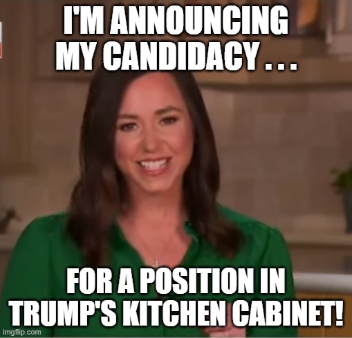 Katie Britt Trump's Kitchen Cabinet | I'M ANNOUNCING MY CANDIDACY . . . FOR A POSITION IN TRUMP'S KITCHEN CABINET! | image tagged in katie britt,kitchen,i hate donald trump,trump sucks | made w/ Imgflip meme maker