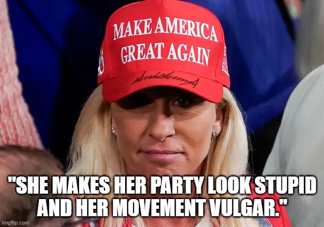 Take it from Ronald Reagan's speech writer Peggy Noonan | "SHE MAKES HER PARTY LOOK STUPID
AND HER MOVEMENT VULGAR." | image tagged in stupid,idiot,maga,maga hat | made w/ Imgflip meme maker