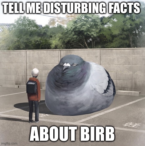 Beeg Birb | TELL ME DISTURBING FACTS; ABOUT BIRB | image tagged in beeg birb | made w/ Imgflip meme maker