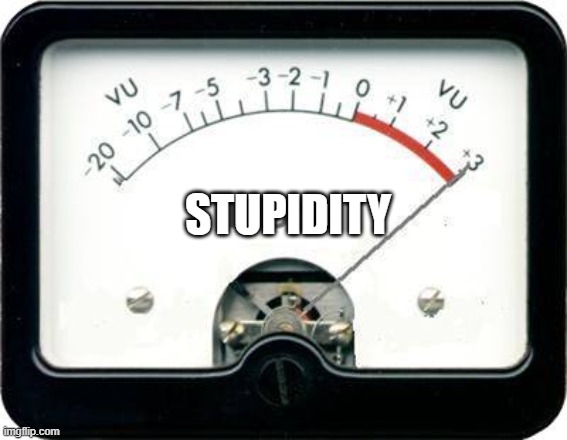 Irony Meter | STUPIDITY | image tagged in irony meter | made w/ Imgflip meme maker