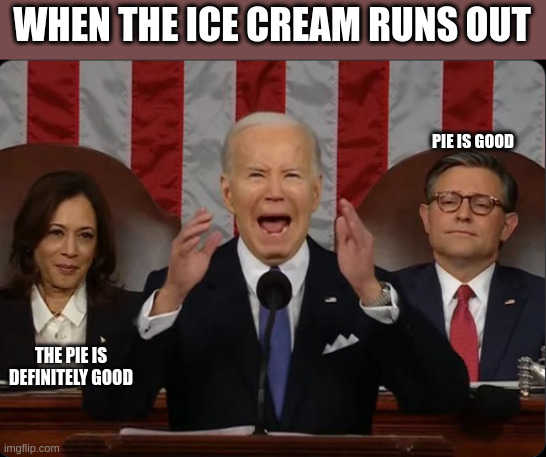 WHEN THE ICE CREAM RUNS OUT; PIE IS GOOD; THE PIE IS DEFINITELY GOOD | image tagged in funny memes | made w/ Imgflip meme maker