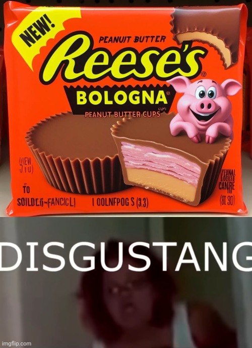 Reese's bologna peanut butter cups | image tagged in disgustang,reese's,bologna,peanut butter cups,cursed image,memes | made w/ Imgflip meme maker
