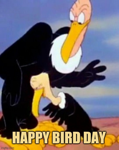 HAPPY BIRD DAY | image tagged in vulture,happy birthday,birds,happy,what if i told you,wait what | made w/ Imgflip meme maker