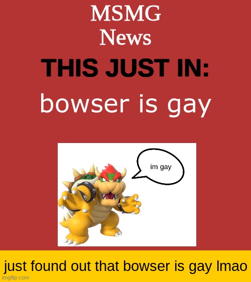 MSMG News Temp | bowser is gay; just found out that bowser is gay lmao | image tagged in msmg news temp | made w/ Imgflip meme maker