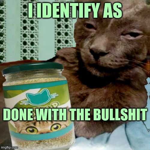 Shit Poster 4 Lyfe | I IDENTIFY AS; DONE WITH THE BULLSHIT | image tagged in shit poster 4 lyfe,done,bullshit,over it,cat,attitude | made w/ Imgflip meme maker
