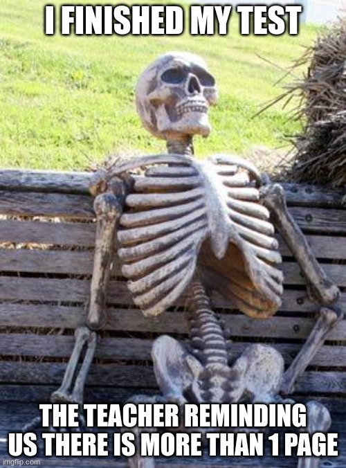 Dead | I FINISHED MY TEST; THE TEACHER REMINDING US THERE IS MORE THAN 1 PAGE | image tagged in memes,waiting skeleton | made w/ Imgflip meme maker