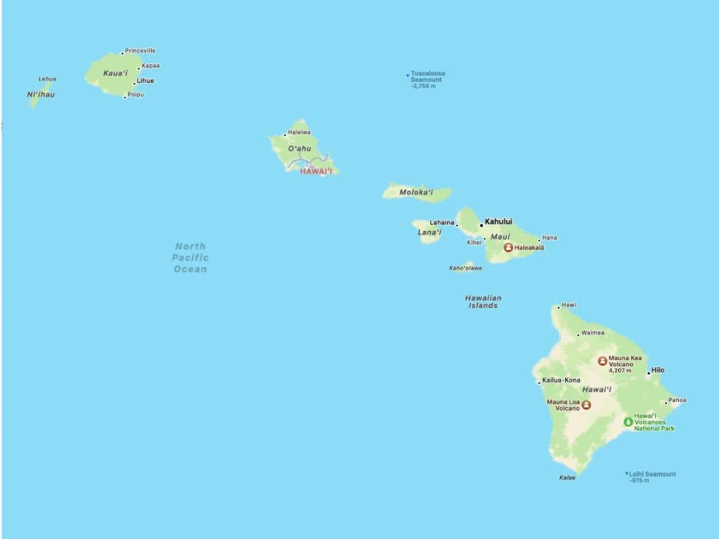 Guide to The Hawaiian Islands - Maps, Names & Facts - Indiana Jo Blank Meme Template