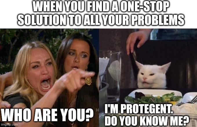 Woman Yelling At Cat | WHEN YOU FIND A ONE-STOP SOLUTION TO ALL YOUR PROBLEMS; WHO ARE YOU? I'M PROTEGENT. DO YOU KNOW ME? | image tagged in memes,woman yelling at cat,protegent,protegent ad,scam | made w/ Imgflip meme maker