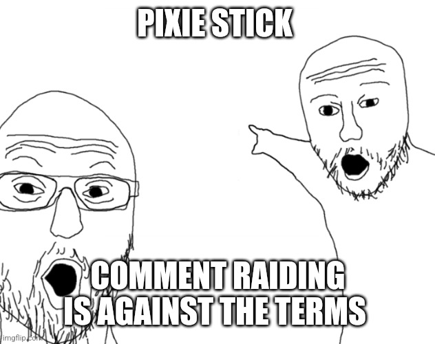 Soyjak Pointing | PIXIE STICK; COMMENT RAIDING IS AGAINST THE TERMS | image tagged in soyjak pointing | made w/ Imgflip meme maker
