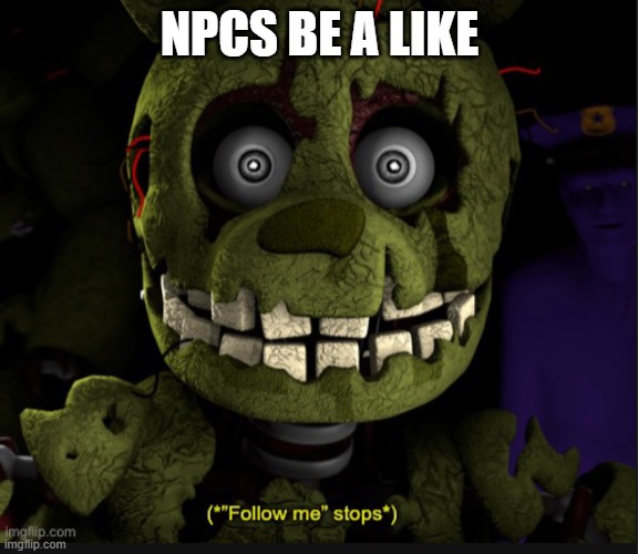Why do NPCS do this | NPCS BE A LIKE | image tagged in follow me stops | made w/ Imgflip meme maker