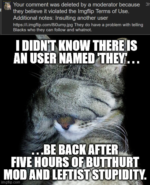 I DIDN'T KNOW THERE IS AN USER NAMED 'THEY'. . . . . .BE BACK AFTER FIVE HOURS OF BUTTHURT MOD AND LEFTIST STUPIDITY. | image tagged in cat face palm,stupid people | made w/ Imgflip meme maker