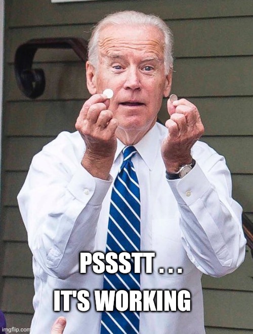 Joe Biden | PSSSTT . . . IT'S WORKING | image tagged in joe biden | made w/ Imgflip meme maker