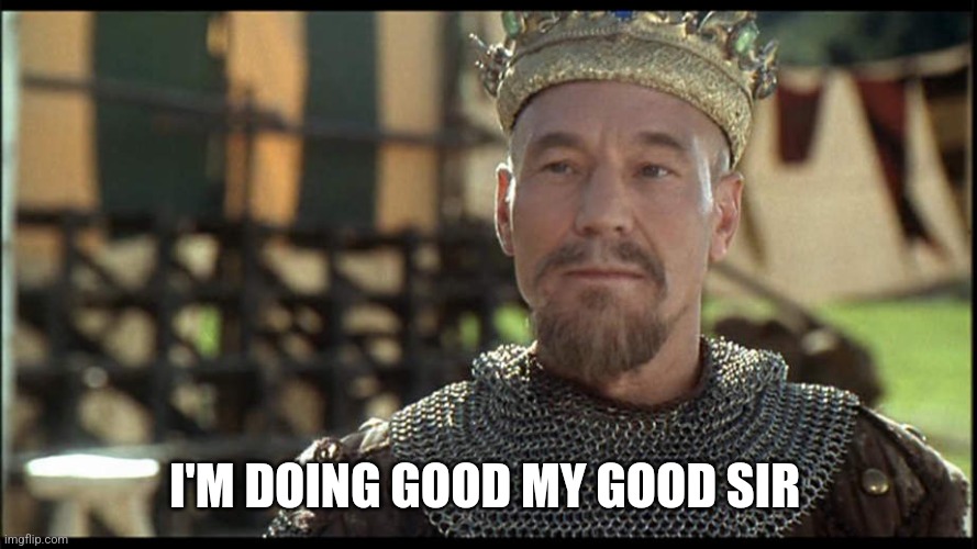 Patrick Stewart in Robin Hood: Men in Tights | I'M DOING GOOD MY GOOD SIR | image tagged in patrick stewart in robin hood men in tights | made w/ Imgflip meme maker