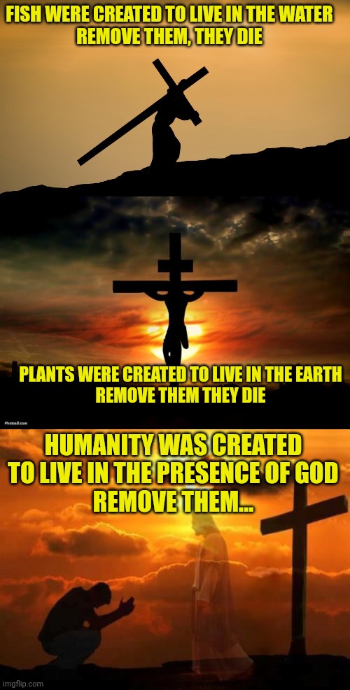 FISH WERE CREATED TO LIVE IN THE WATER
REMOVE THEM, THEY DIE; PLANTS WERE CREATED TO LIVE IN THE EARTH
REMOVE THEM THEY DIE; HUMANITY WAS CREATED TO LIVE IN THE PRESENCE OF GOD
REMOVE THEM... | image tagged in jesus crossfit,jesus on the cross,kneeling man | made w/ Imgflip meme maker