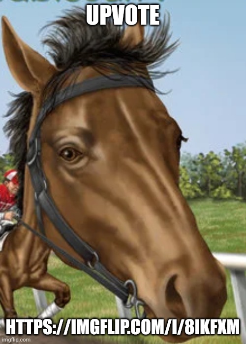 Big horse | UPVOTE; HTTPS://IMGFLIP.COM/I/8IKFXM | image tagged in big horse | made w/ Imgflip meme maker