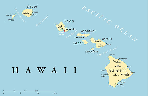 Hawaiian Map Blank Meme Template