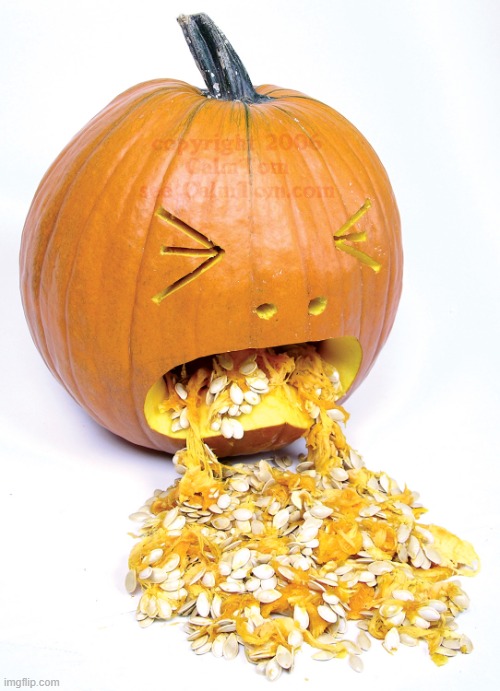 Pumpkin vomit | image tagged in pumpkin vomit | made w/ Imgflip meme maker