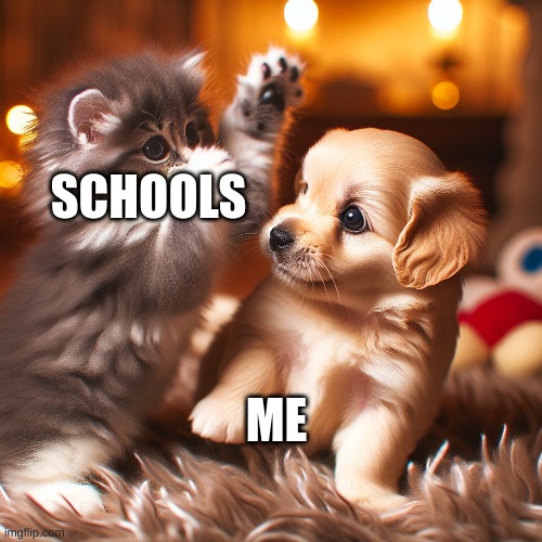 awwwwww cute? but not really | SCHOOLS; ME | image tagged in cute dog | made w/ Imgflip meme maker