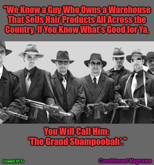 Conditioned Magnates | "We Know a Guy Who Owns a Warehouse 

That Sells Hair Products All Across the 

Country. If You Know What's Good for Ya, You Will Call Him: 

'The Grand Shampoobah'."; Conditioned Magnates; OzwinEVCG | image tagged in mafia,conditioner,eye-rolling follicles,shampoo,you have been warned,awkward | made w/ Imgflip meme maker